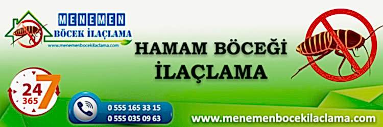 Hamam Böceği İlaçlama