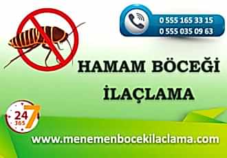 Hamam Böceği İlaçlama
