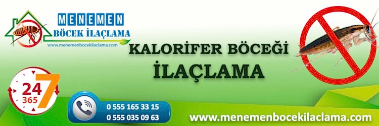 Kalorifer Böceği İlaçlama