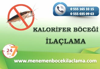 Kalorifer Böceği İlaçlama
