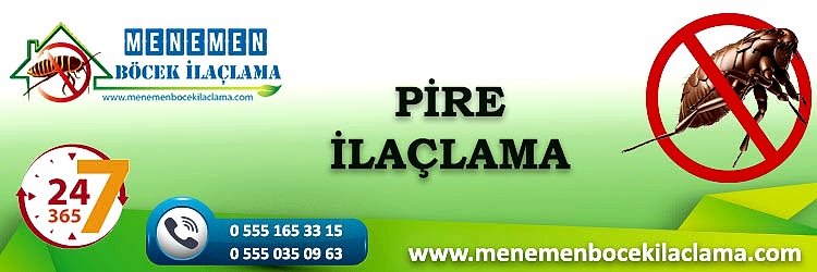 Pire İlaçlama