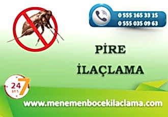 Pire İlaçlama