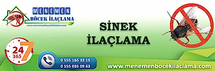Sinek İlaçlama