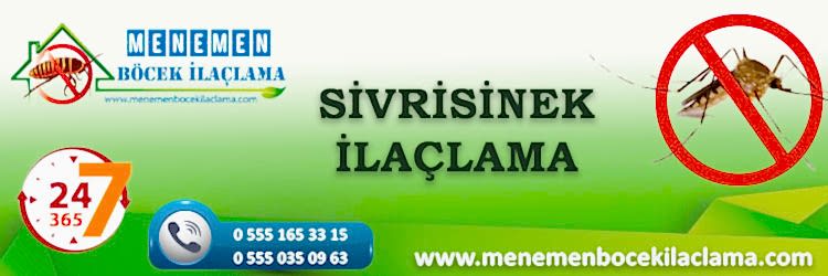 Sivrisinek İlaçlama