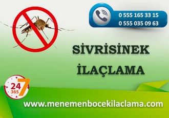 Sivrisinek İlaçlama