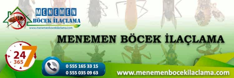 Menemen Böcek İlaçlama