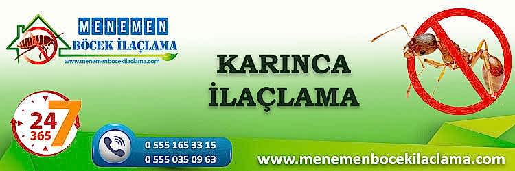 Karınca İlaçlama