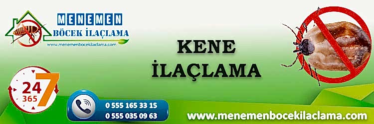 Kene İlaçlama