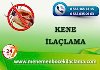 Kene İlaçlama