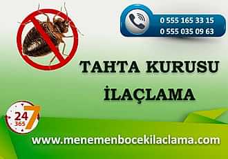 Tahta Kurusu İlaçlama