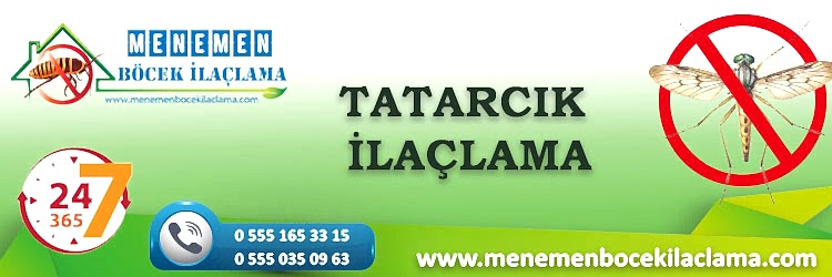 Karınca İlaçlama