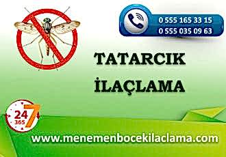 Tatarcık Böceği