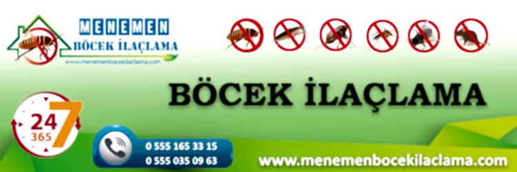 Manisa İlaçlama
