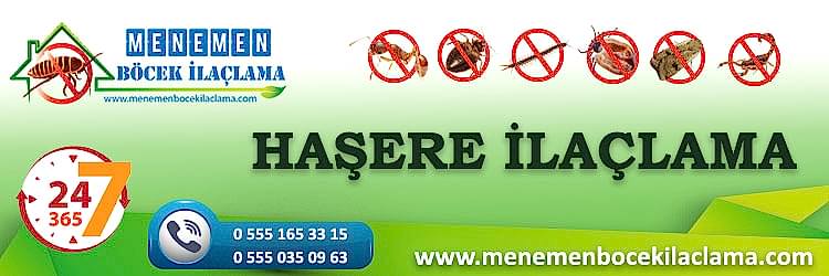Haşere İlaçlama