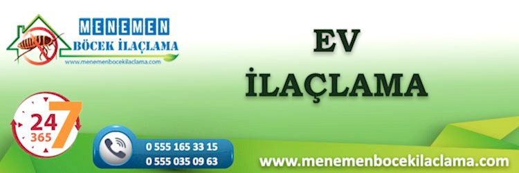 Ev İlaçlama
